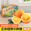【秭归脐橙-纽荷尔】誉福园 纽荷尔5斤/9斤 中大果彩箱 新鲜水果橙子 现摘现发 商品缩略图0