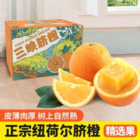 【秭归脐橙-纽荷尔】誉福园 纽荷尔5斤/9斤 中大果彩箱 新鲜水果橙子 现摘现发