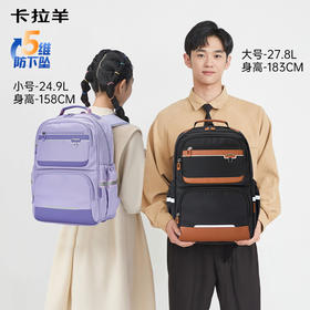 卡拉羊中学生5维减负防下坠风琴书包大容量抑菌双肩背包绘梦系列CX5186/L