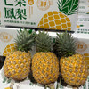 【芒果凤梨】树上自然成熟 芒果风味浓郁 甜度远超普通凤梨 4-5斤中果（700g-900g） 商品缩略图6