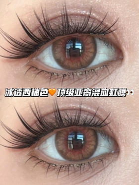 sweetheart亚裔甜心橘棕·日抛·六片装