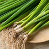 小葱 200g 商品缩略图1