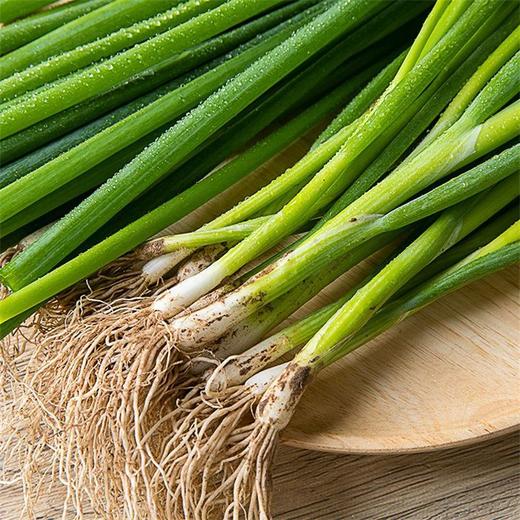 小葱 200g 商品图1