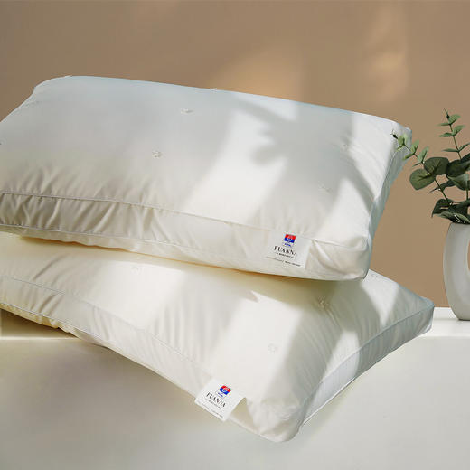 6916517941252 富安娜Fuanna 【梦享芯选】高颜值蚕丝枕成人家用枕头床上用品单人枕芯丝棉枕 商品图1