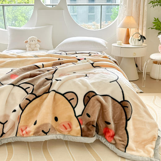 【广东省省被】双层加厚拉舍尔毛毯 柔软亲肤蓄热保暖 商品图3