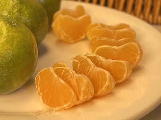 清香茶橘 能吃出清新茶香的橘子 柑橘界的新宠 鲜嫩香甜爆汁 好吃还不上火  商品图4