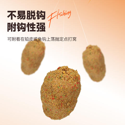 佳钓尼新款东来鲤大混养散炮鱼鲤鱼黑坑鱼饵用饵980g 商品图2