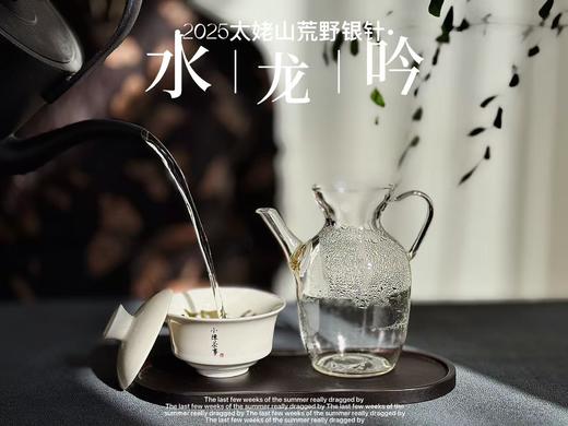 【家有好茶】2025荒野银针《水龙吟》，盛开在初春暖花中的碧水云天，野劲十足，野性十足！ 商品图4