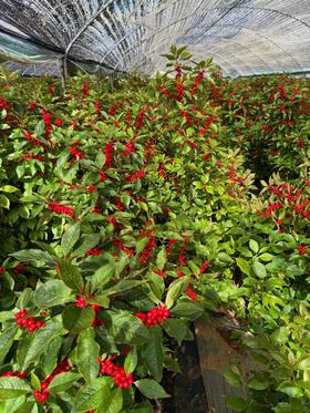  【基地探访】冬青基地探访日记