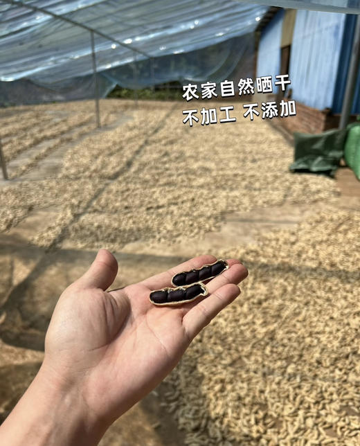 黑花生🥜软糯甘甜，熬夜救星🌟
发现一个宝藏食品！云南普洱的老品种小颗粒黑花生，自然晒干后的口感简直让人惊喜！软糯甘甜，每一口都能感受到满满的幸福感 商品图4