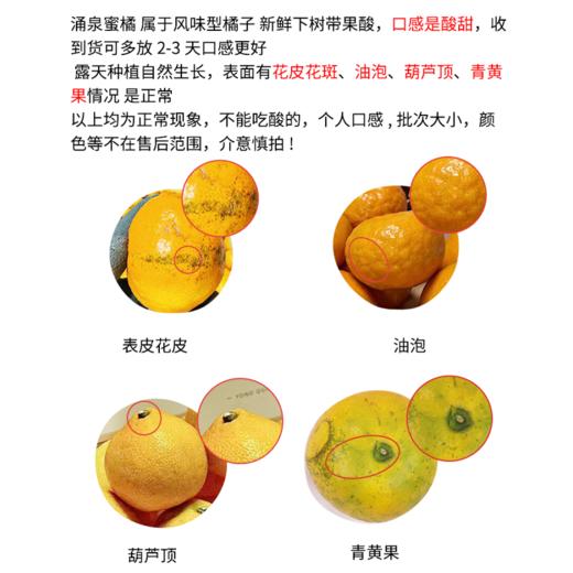 【涌泉蜜橘】 甘润清香 皮薄多汁 新鲜现摘不齁甜 秋冬解腻神器 4.5-5斤（16-24个） 商品图6
