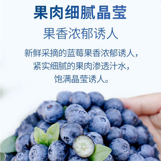 【云南L25蓝莓】无打蜡不催熟 绿色种植 孕妇儿童放心吃 400g 商品图2