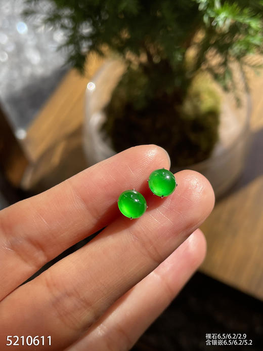 5210611，蛋面耳钉。具体价格微信咨询 商品图2