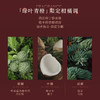 3253581786093 欧舒丹L'OCCITANE 【滋润保湿】乳木果绿叶青橙香氛身体乳润肤乳240ML秋冬男女 商品缩略图4