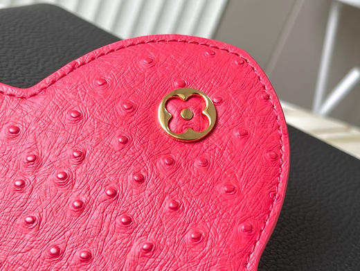 秋冬特惠💰1650 渠道级LV 新品 te级LV 全套包装 N82904/M48865黑拼红鸵鸟 本款 Capucines 手袋 商品图6