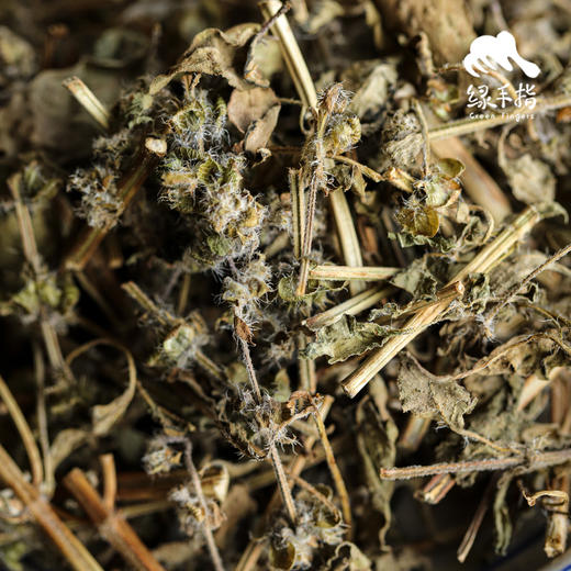 生态荆芥干 | 合作生产 *  Ecological dried Schizonepeta | Coproduction 商品图1