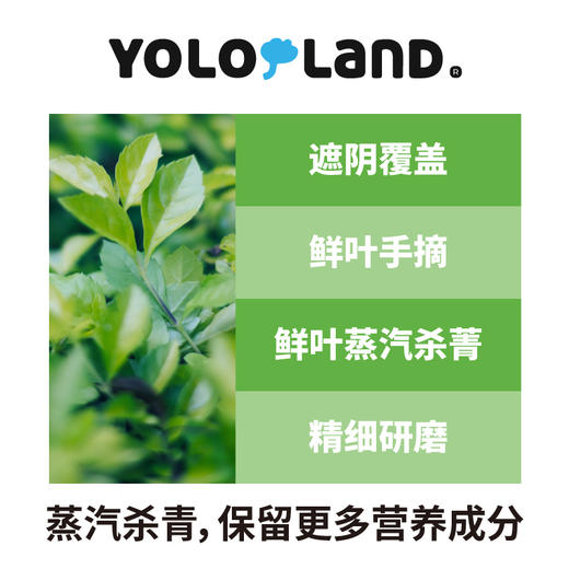 有乐岛 / 有机抹茶粉 香气浓郁，品质上乘直饮抹茶 50g 商品图4