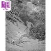 【中商原版】The Dore Bible Illustrations 进口艺术 多雷插画黑白版画 商品缩略图1