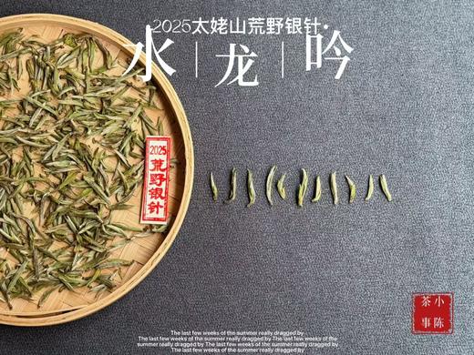 【家有好茶】2025荒野银针《水龙吟》，盛开在初春暖花中的碧水云天，野劲十足，野性十足！ 商品图0