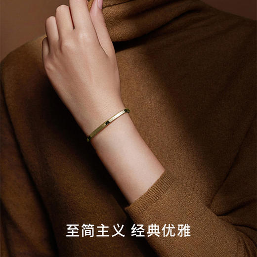 7315030012507 丹尼尔惠灵顿DANIEL WELLINGTON DW手镯|经典轻奢高雅纤巧金色手镯情侣手环送礼高级【金色-大号】 商品图1