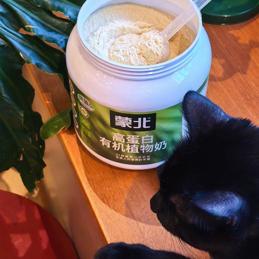 [屁侠推荐]蒙北高蛋白有机植物奶 0添加剂 原味奶粉营养健康早餐奶1000g/罐  商品图0