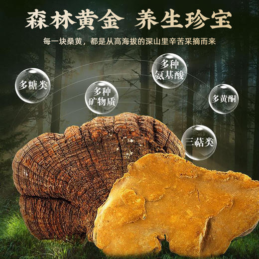 健养极物长白山桑黄粉优质桑黄打磨成粉50g*3罐 商品图2