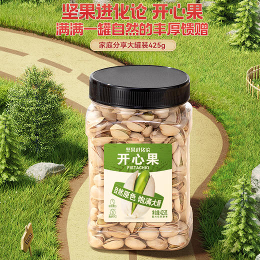 【长期集采】坚果进化论开心果A款425g 商品图4