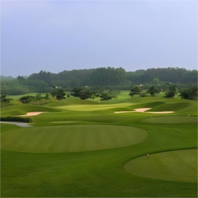 越南·双鸽高尔夫俱乐部 Twin Doves Golf Club | 胡志明高尔夫球场  | 越南高尔夫球场俱乐部  | 东南亚