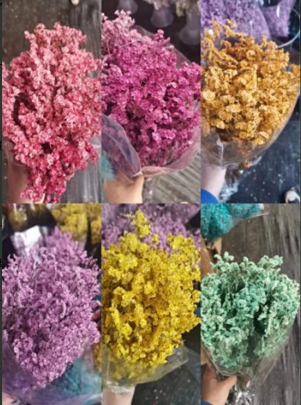 水晶花--吸色 商品图0