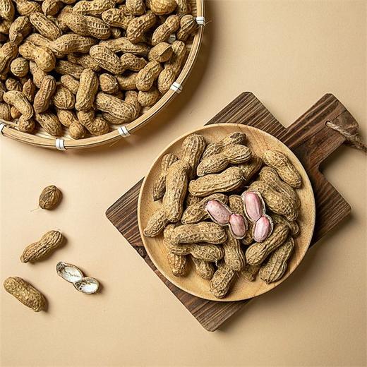 花生 500g 商品图1