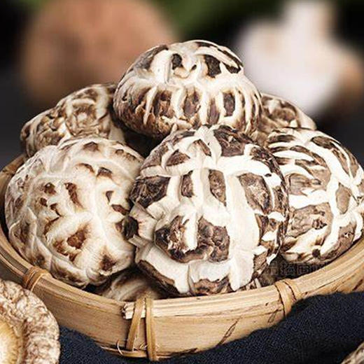 【房州味道】房县小花菇500g 商品图2