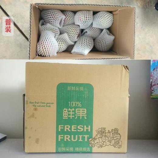 云南高原冬桃 新鲜现摘桃子 桃香味浓 甜脆可口 商品图5