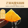 【芒果凤梨】树上自然成熟 芒果风味浓郁 甜度远超普通凤梨 4-5斤中果（700g-900g） 商品缩略图1