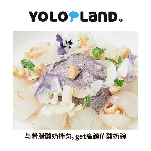 有乐岛 / 冻干巴西莓粉 40g 商品图2