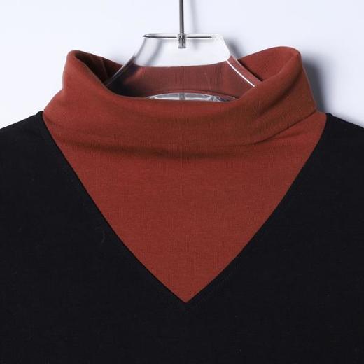 T5039SDSA男士秋冬新款痞帅男装简约拼接撞色可翻高领长袖T恤百搭时尚 商品图2