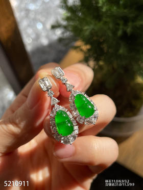 5210911，福豆耳坠。具体价格微信咨询