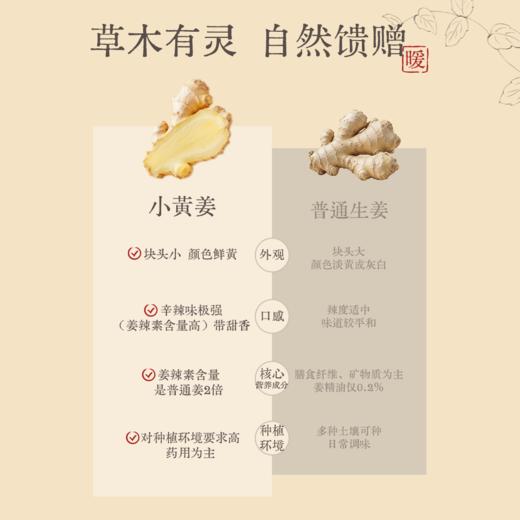 【真不二】小黄姜青刺根浴足包泡脚包礼盒装送礼好物量大 商品图1