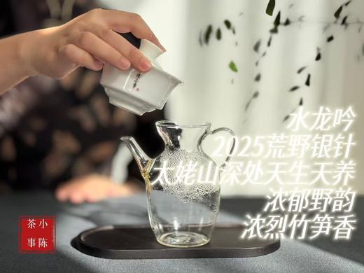 【家有好茶】2025荒野银针《水龙吟》，盛开在初春暖花中的碧水云天，野劲十足，野性十足！ 商品图8