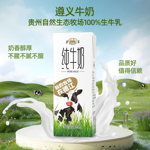 【皇氏乳业】遵义纯牛奶200ml*10盒/3箱 商品图2