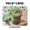 有乐岛 / 有机羽衣甘蓝粉 120g 商品缩略图3