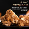 健养极物长白山破壁西洋参粉西洋参主根足龄老参50g/罐 商品缩略图2