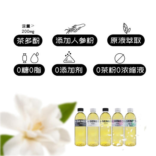 【G-SENG人参茶】6瓶装口味随机收藏装988ml提神抗氧 替代日常饮水｜人参皂苷+茶多酚双萃取｜0糖0脂｜茉莉/栀子/山茶/樱花/竹香多味随机｜提神不伤胃更温和 商品图2
