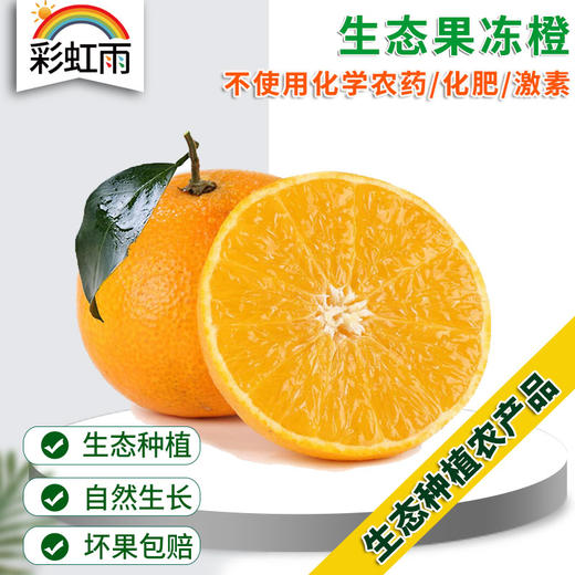 生态水果爱媛果冻橙450g 果肉清甜无渣 京津冀满百包邮 商品图0