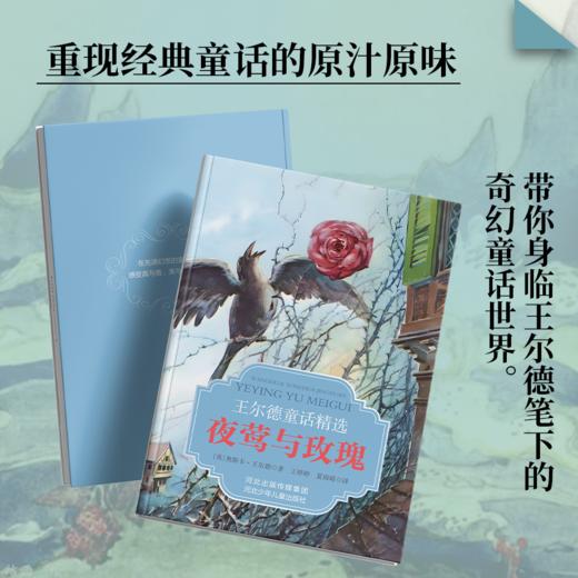 王尔德童话精选：夜莺与玫瑰 商品图2