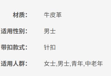 8052777138495 PINKO PINKO 女装配饰金属针扣宽大皮带腰带1G203WY4U 商品图5