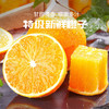 【赣南脐橙】脐橙之乡直供 无催熟不打蜡 绿色生态种植 5斤 商品缩略图2