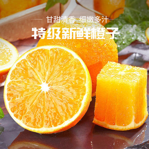 【赣南脐橙】脐橙之乡直供 无催熟不打蜡 绿色生态种植 5斤 商品图2