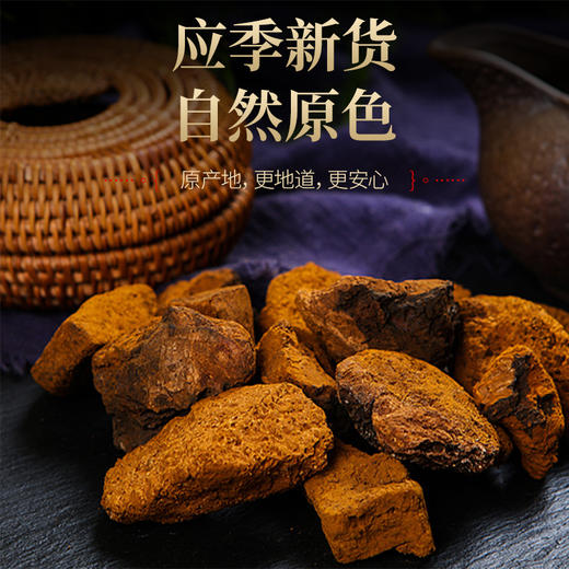 健养极物长白山桦褐孔菌桦树茸破壁超微粉50g*3罐 商品图3