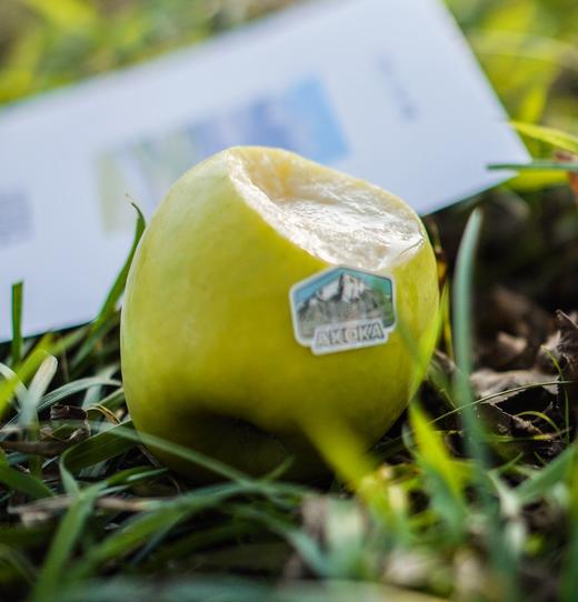 秋冈高原玫瑰 玫瑰花香 脆甜多汁   新疆瑞雪苹果 商品图3