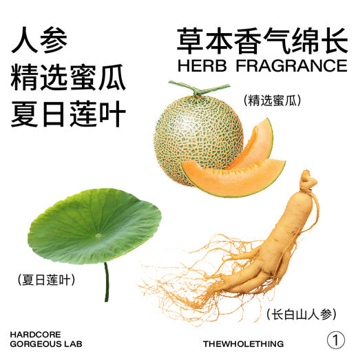 【餐后解腻】【一整根1号水蜜瓜荷叶味】整根人参+蜜瓜荷叶｜高活性皂苷0糖0脂｜体重管理｜提神轻体两不误 商品图2
